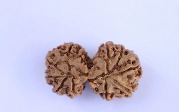 Gauri Shankar Rudraksh